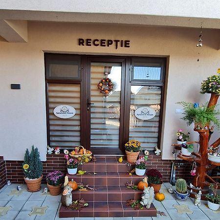 ホテル Splendid House Făgăraş エクステリア 写真
