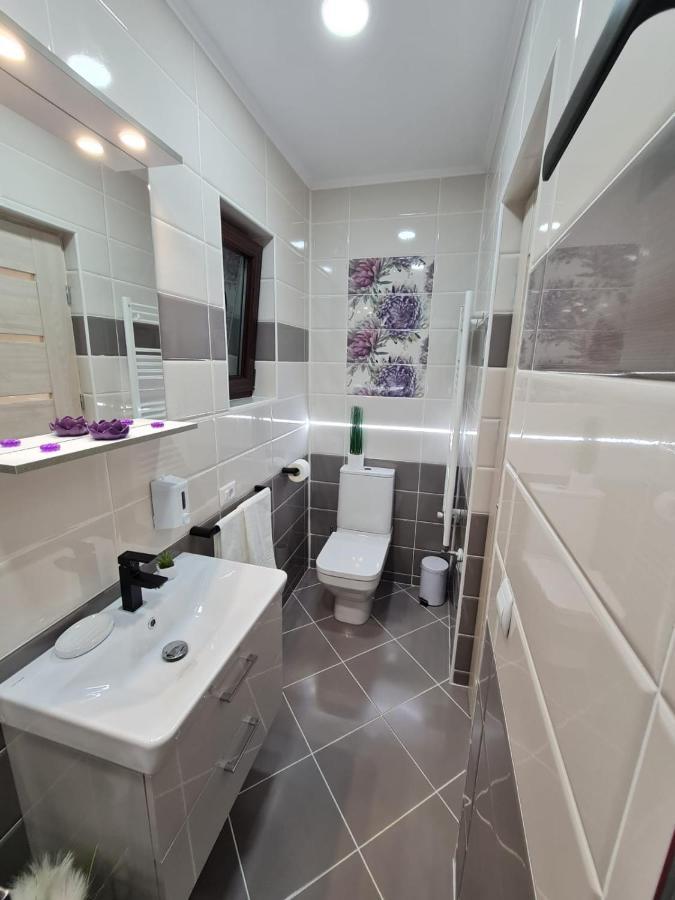 ホテル Splendid House Făgăraş エクステリア 写真