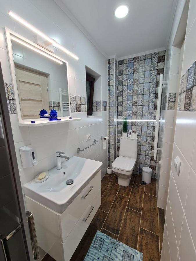 ホテル Splendid House Făgăraş エクステリア 写真