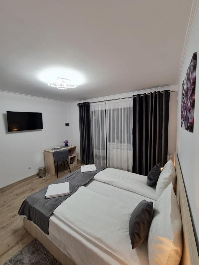 ホテル Splendid House Făgăraş エクステリア 写真