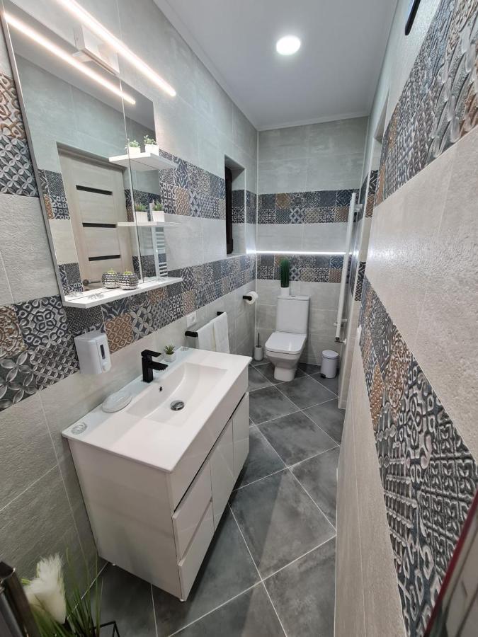 ホテル Splendid House Făgăraş エクステリア 写真